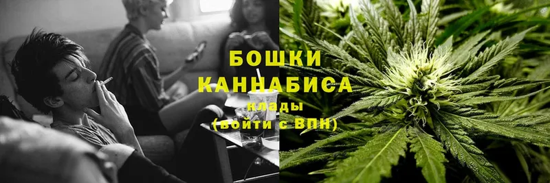 darknet как зайти  Мичуринск  МАРИХУАНА SATIVA & INDICA  наркошоп 